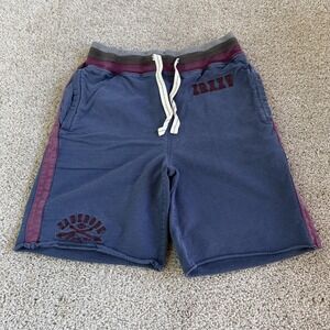 Zanerobe Shorts Mens 30 Blue Sweat French Terry Colorblock Athletic Gym Training
